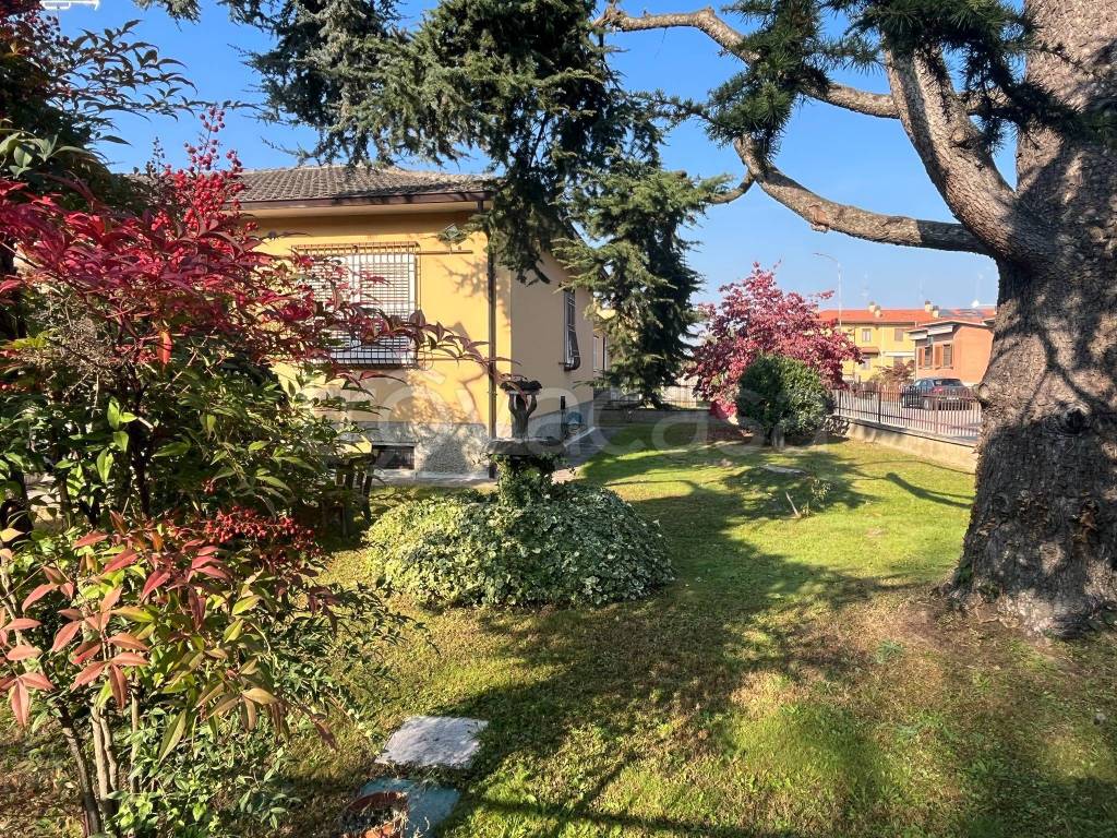 immagine annuncio 11 di 15