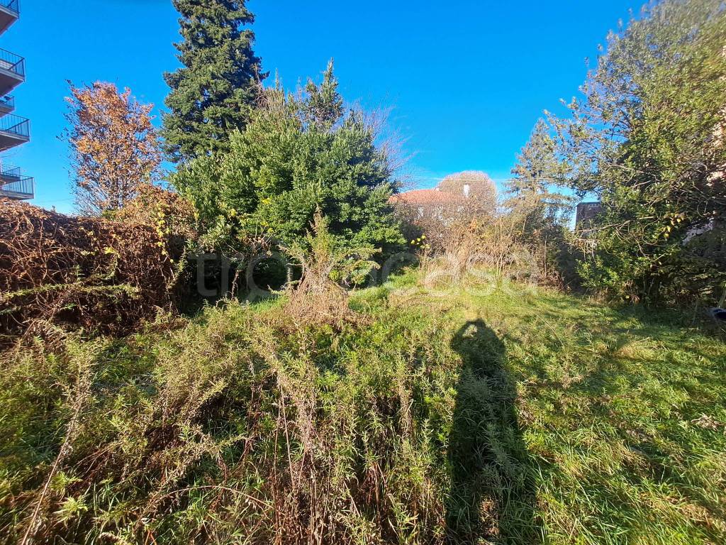 immagine annuncio 2 di 7