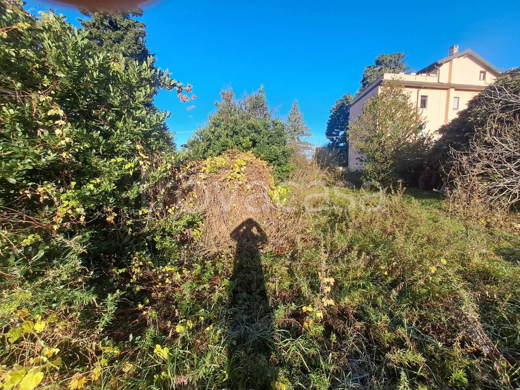 immagine annuncio 3 di 7