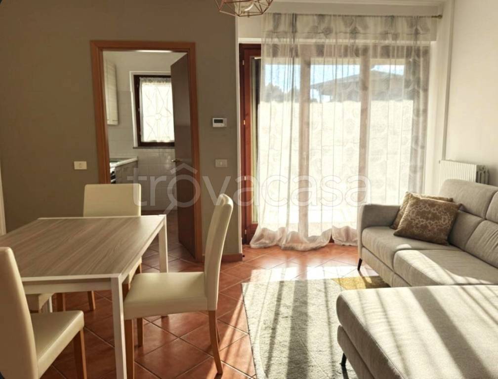 immagine annuncio 2 di 12