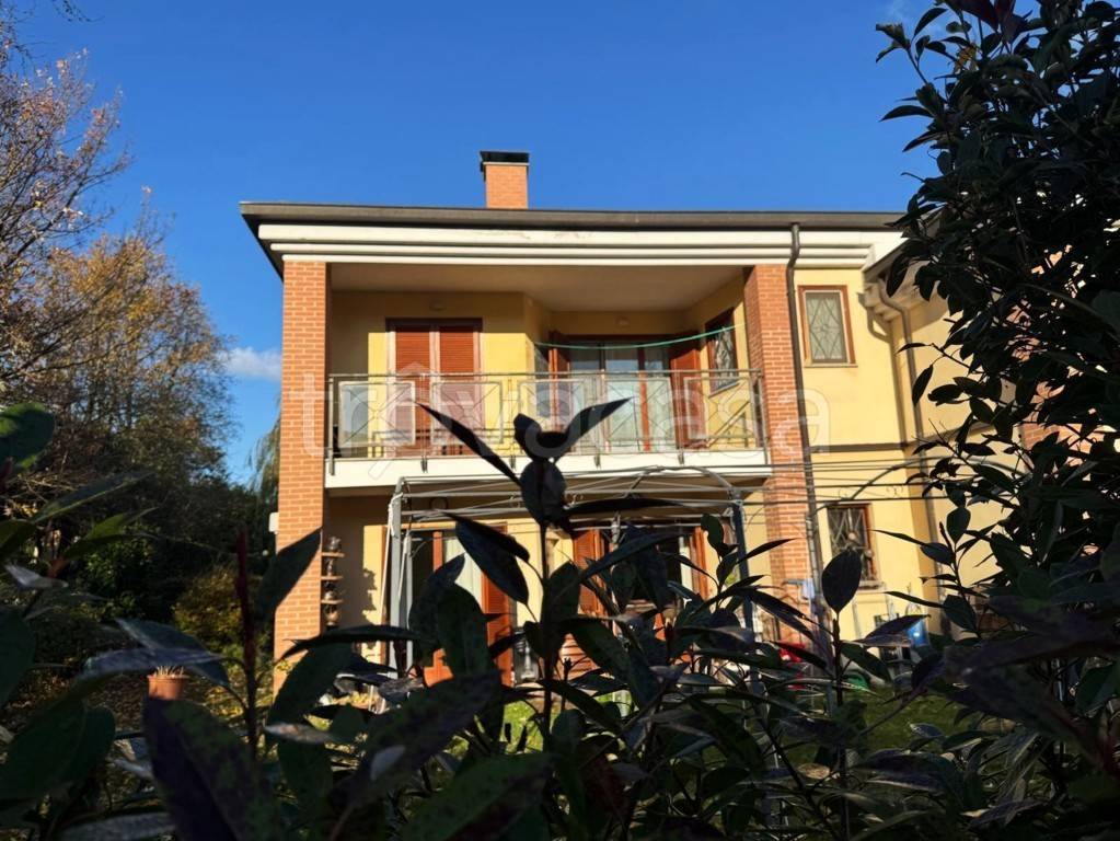 immagine annuncio 1 di 12