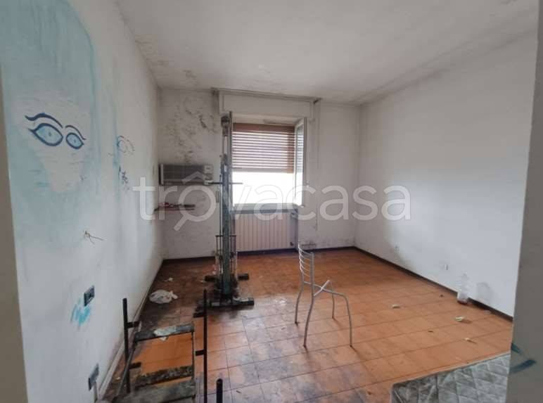 immagine annuncio 6 di 12