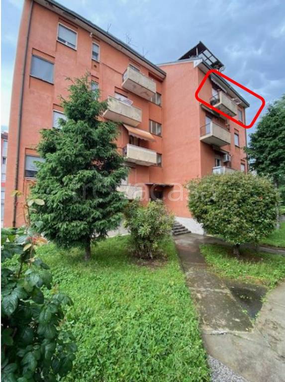 immagine annuncio 3 di 15