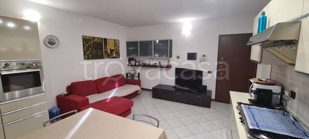 immagine annuncio 7 di 15