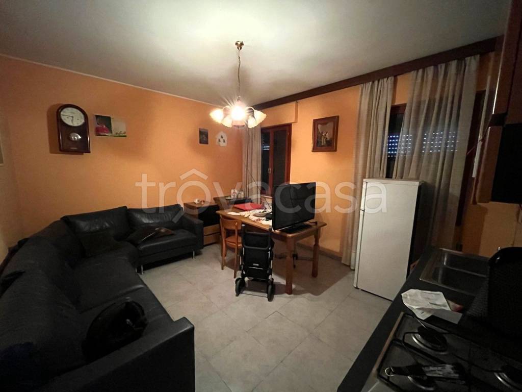 immagine annuncio 11 di 14