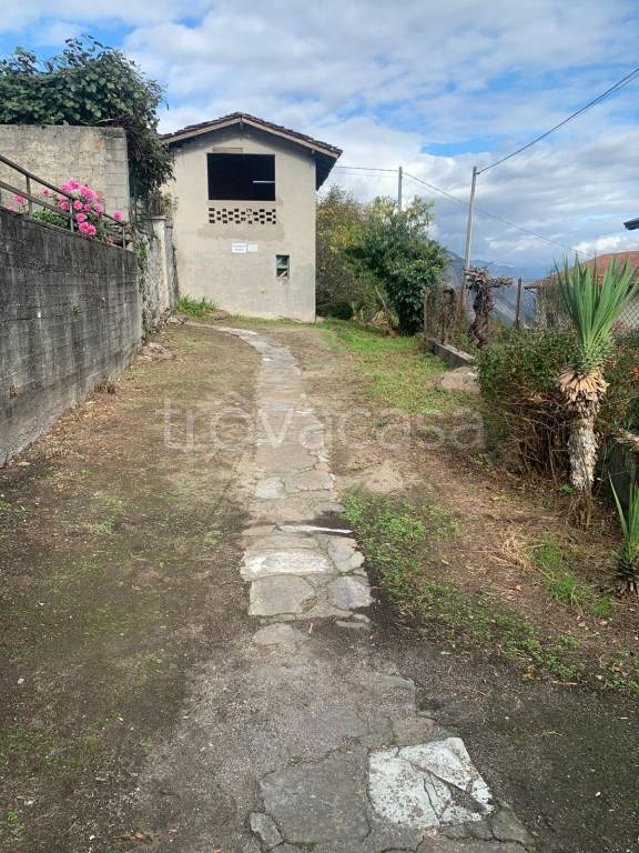 immagine annuncio 8 di 12