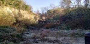 immagine annuncio 4 di 7