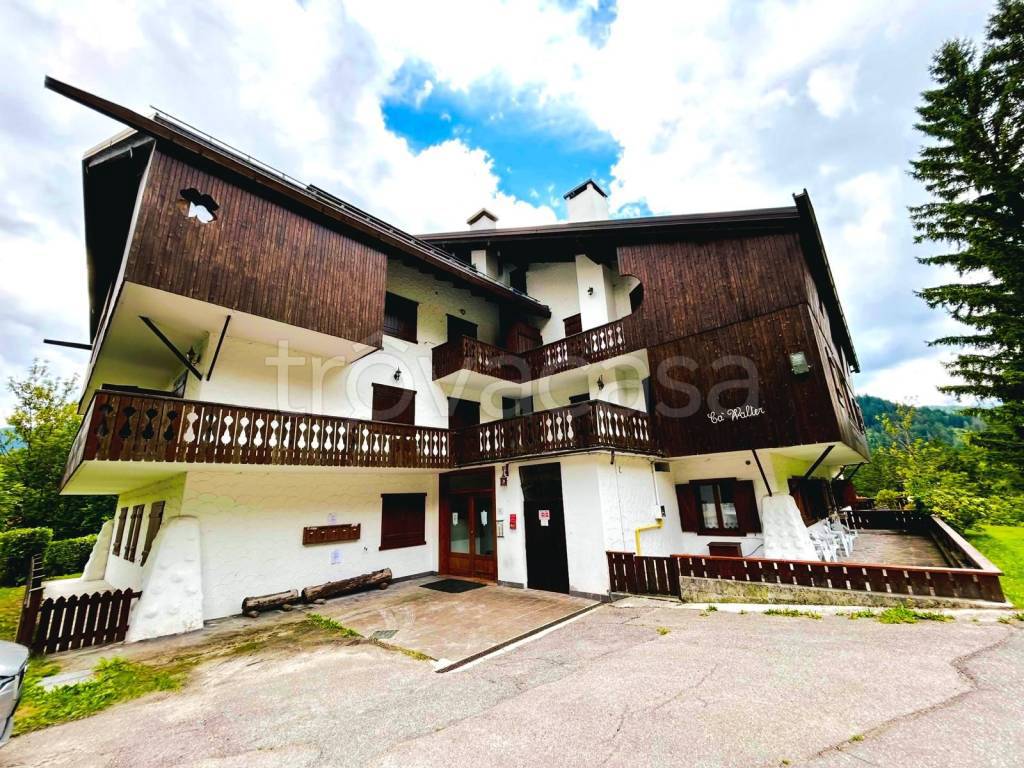 immagine annuncio 2 di 12