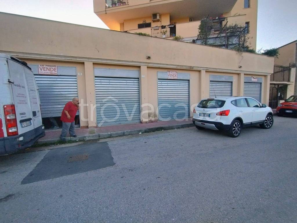 immagine annuncio 6 di 11