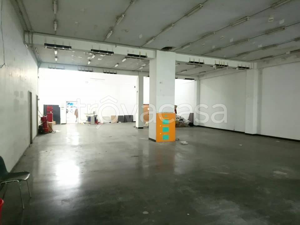 immagine annuncio 2 di 12