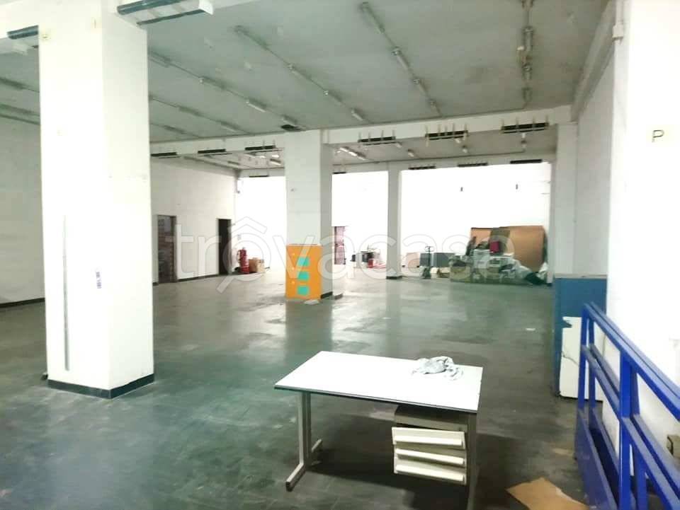 immagine annuncio 4 di 12