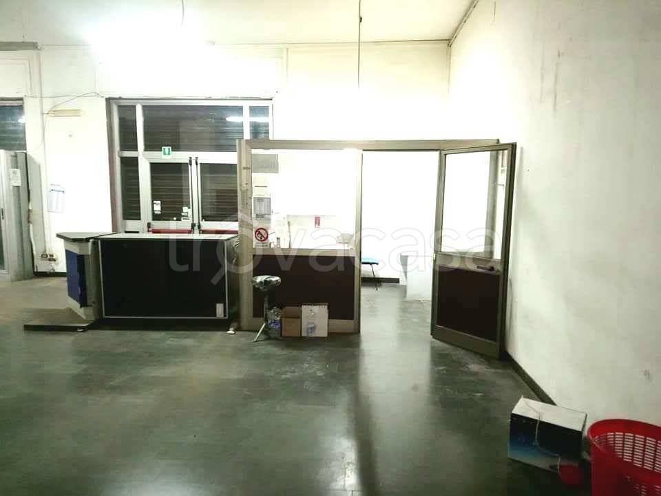 immagine annuncio 5 di 12