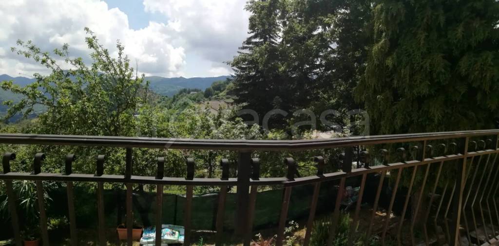 immagine annuncio 5 di 14