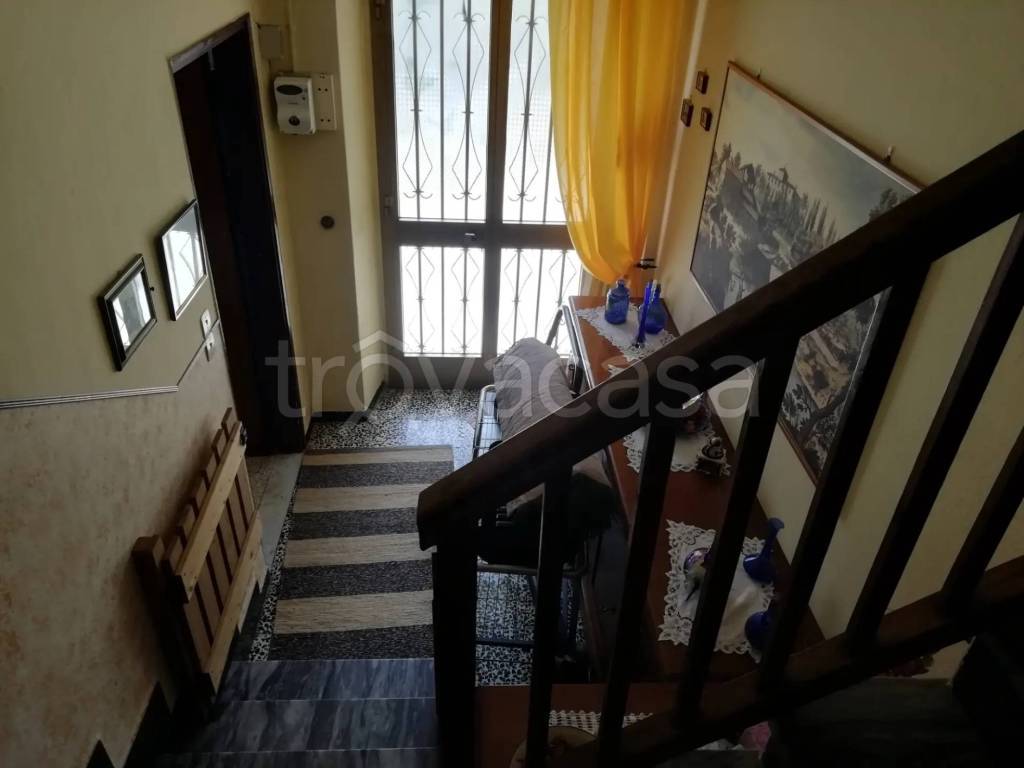 immagine annuncio 10 di 14