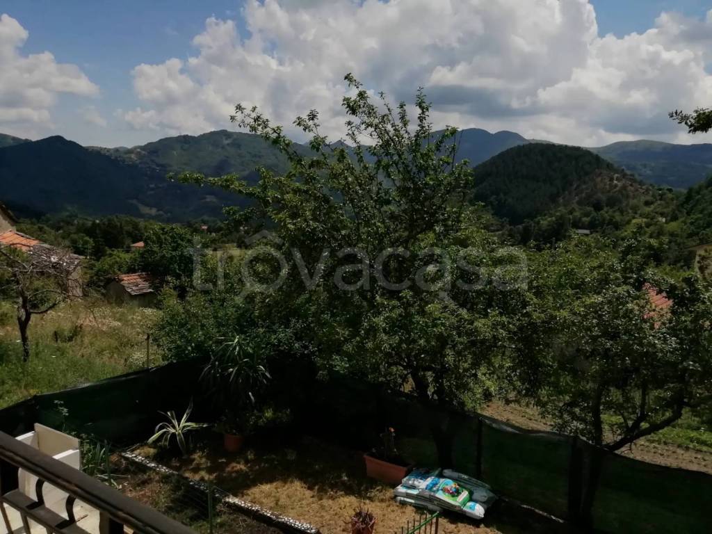 immagine annuncio 12 di 14