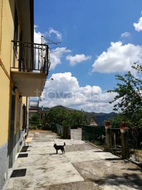 immagine annuncio 13 di 14