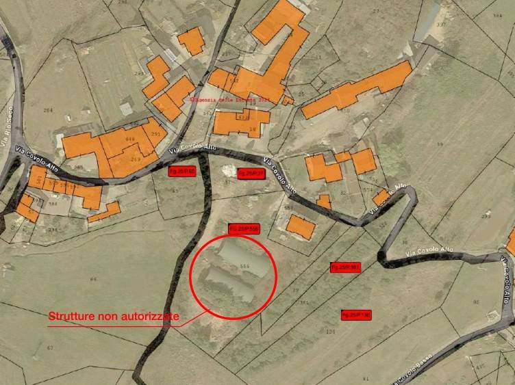 immagine annuncio 8 di 10