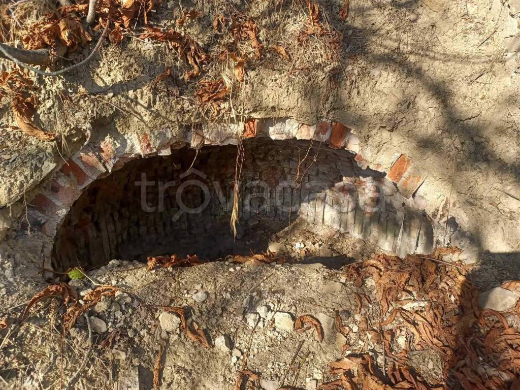 immagine annuncio 6 di 12