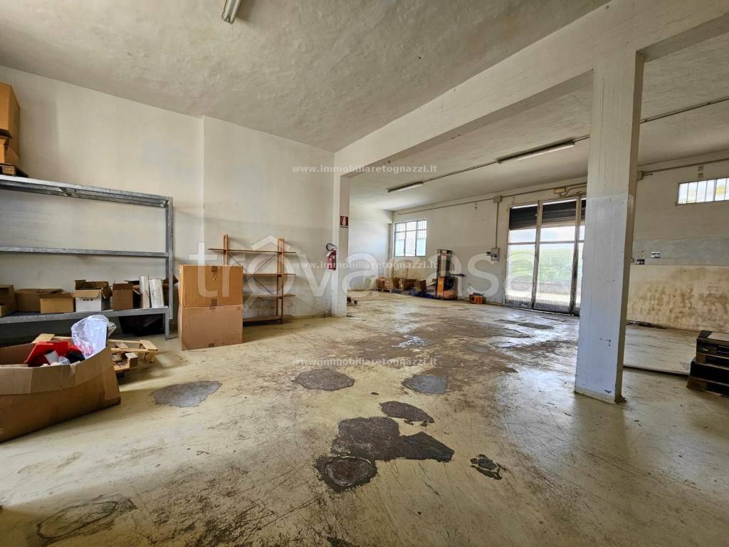 immagine annuncio 9 di 11