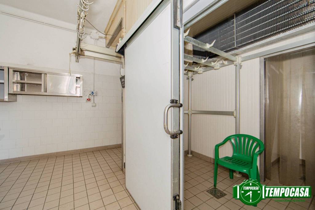 immagine annuncio 5 di 12