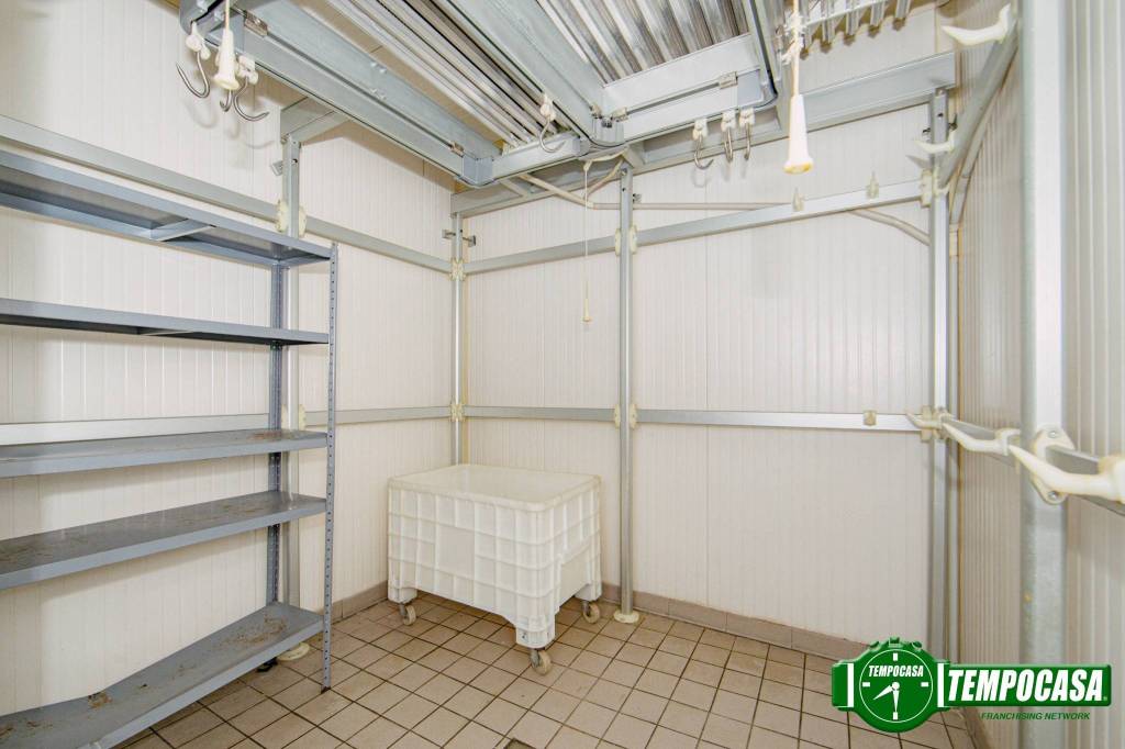 immagine annuncio 6 di 12