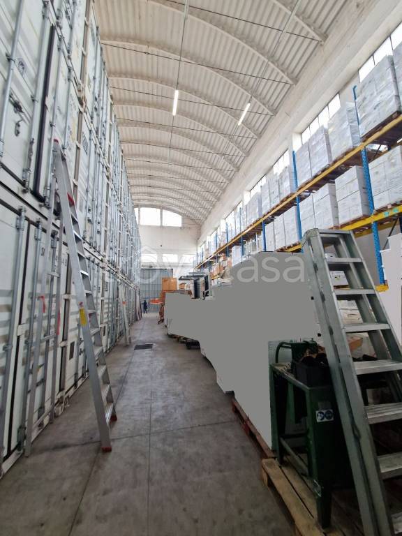 immagine annuncio 11 di 15