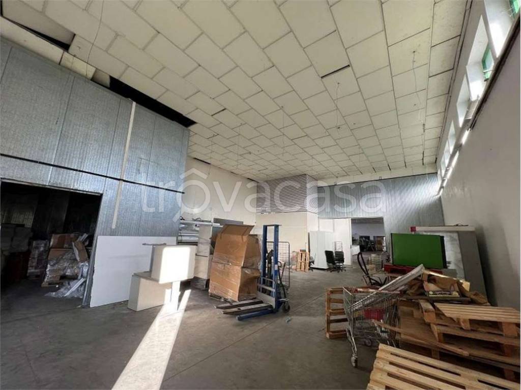 immagine annuncio 9 di 15