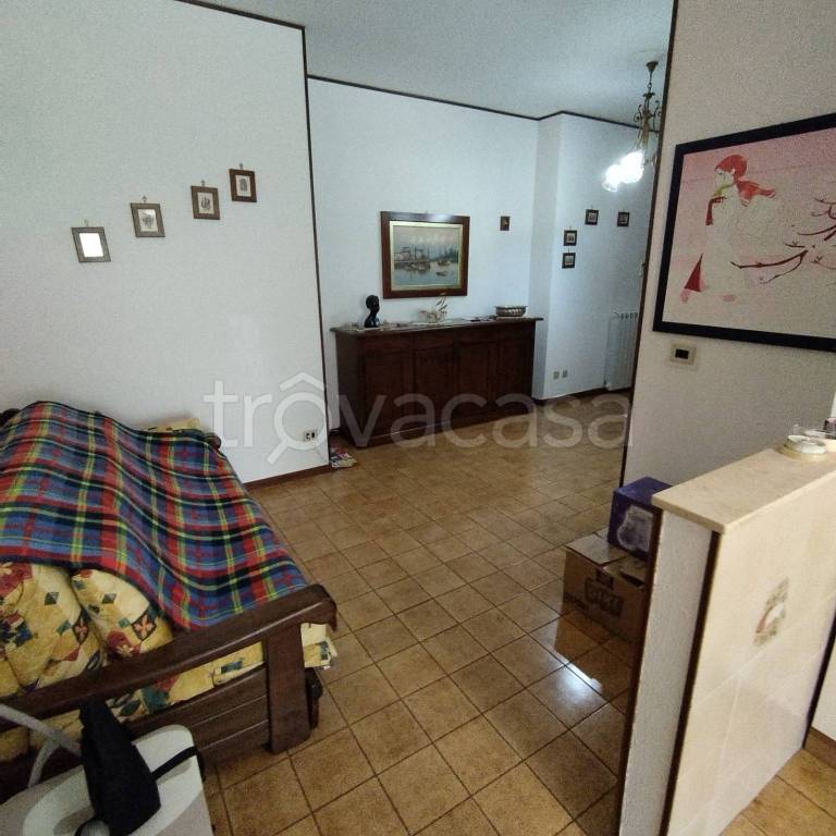 immagine annuncio 4 di 11