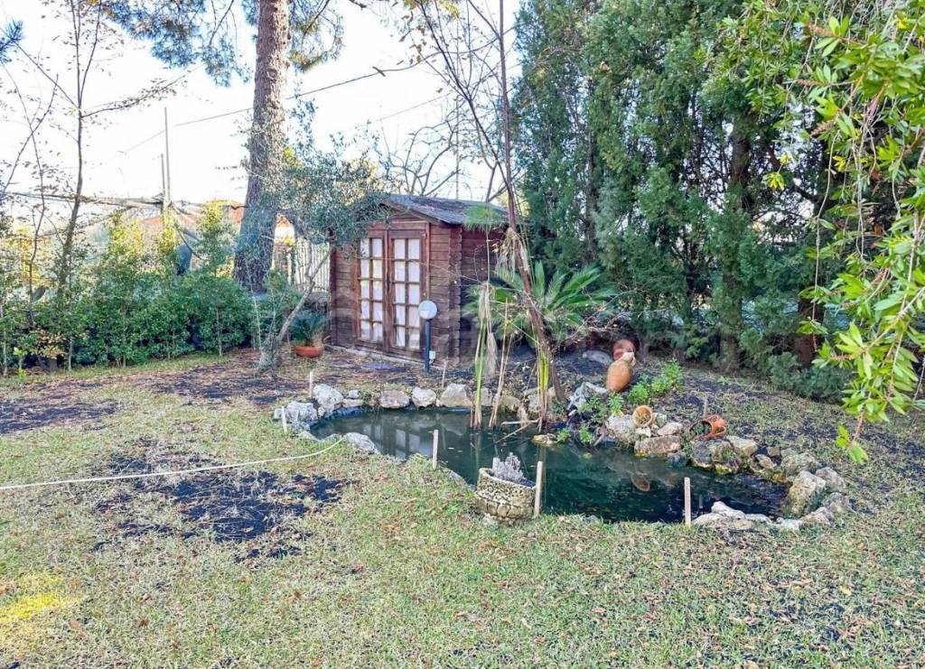 immagine annuncio 11 di 15