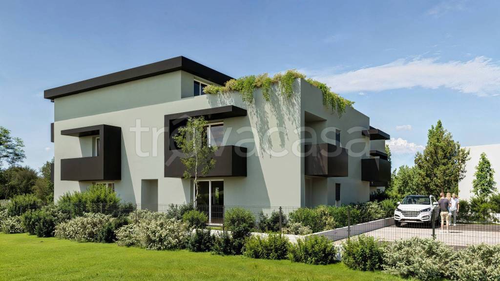 immagine annuncio 5 di 14