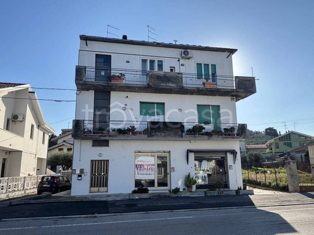 immagine annuncio 2 di 13