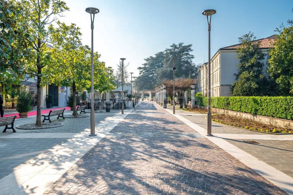 immagine annuncio 12 di 14