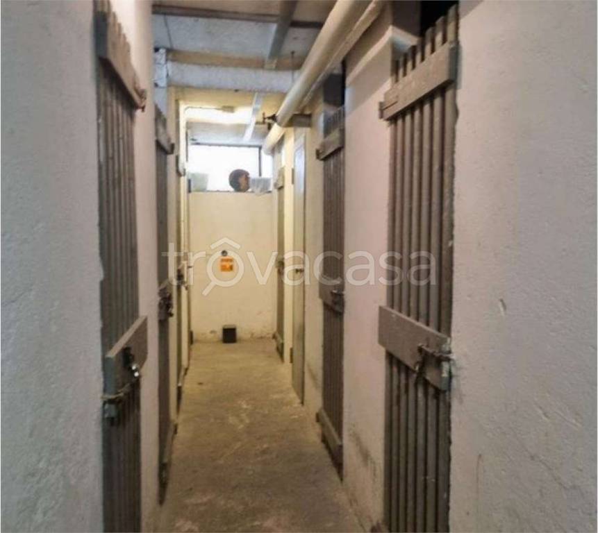 immagine annuncio 5 di 13