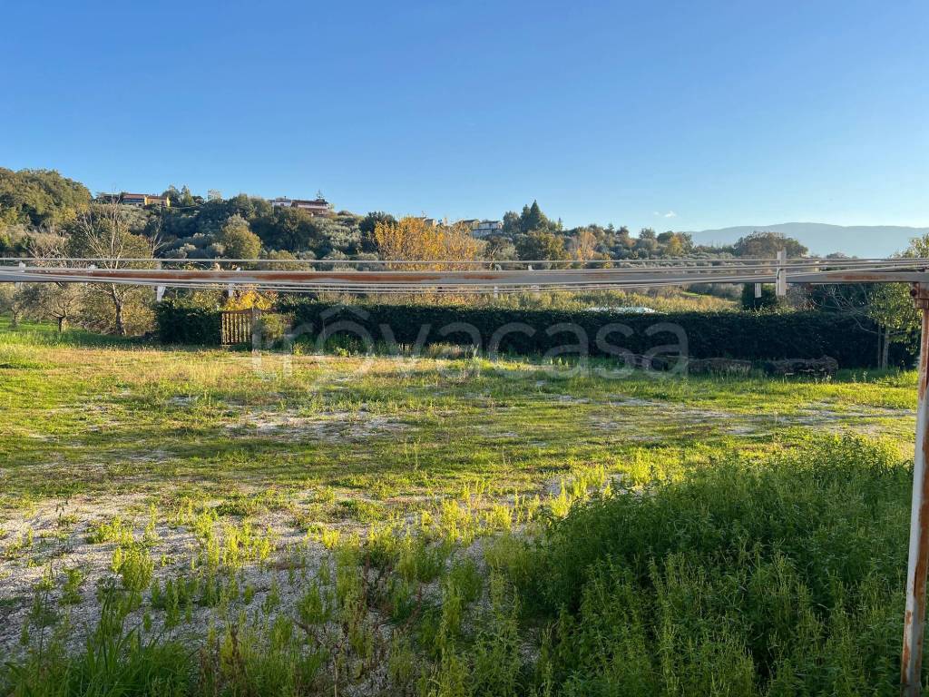 immagine annuncio 6 di 14