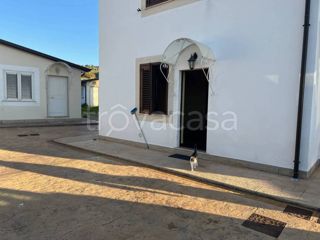 immagine annuncio 9 di 14