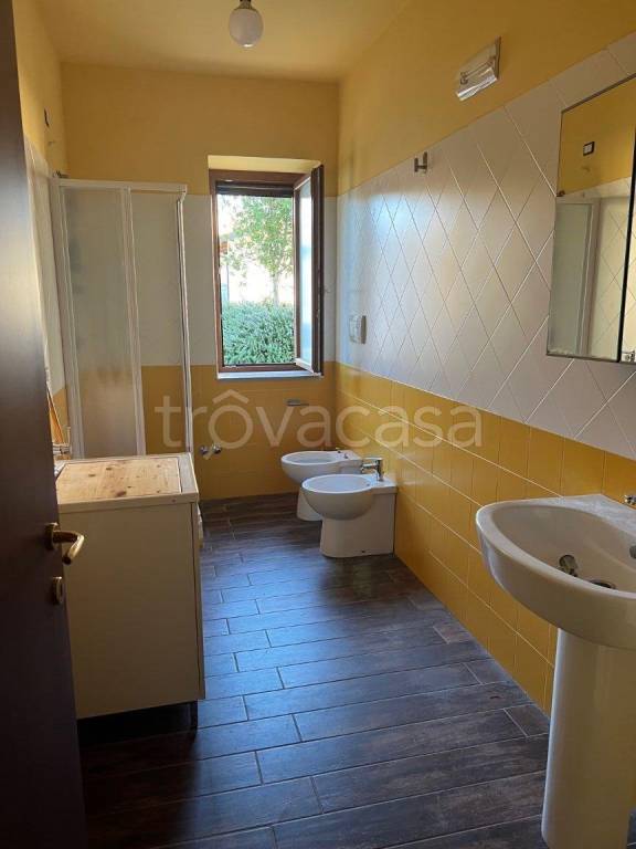 immagine annuncio 7 di 14