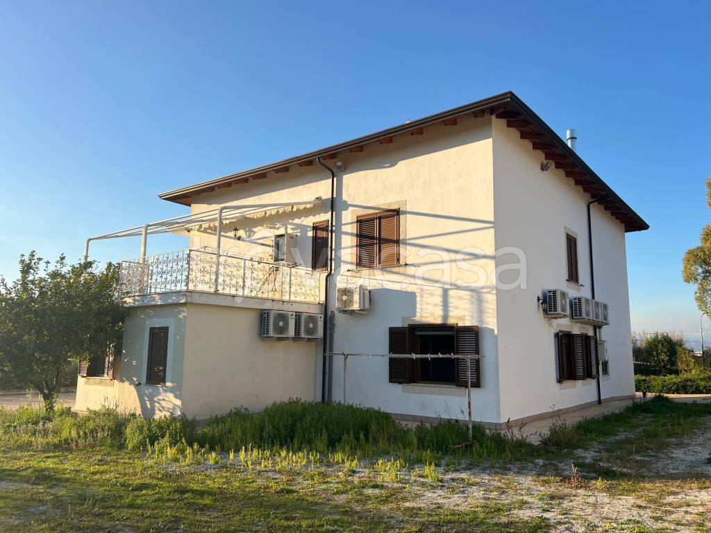 immagine annuncio 10 di 14