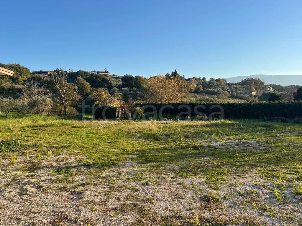 immagine annuncio 12 di 14