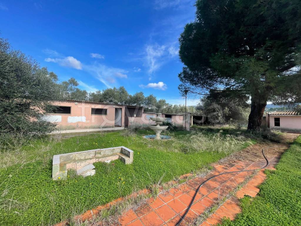 immagine annuncio 7 di 13