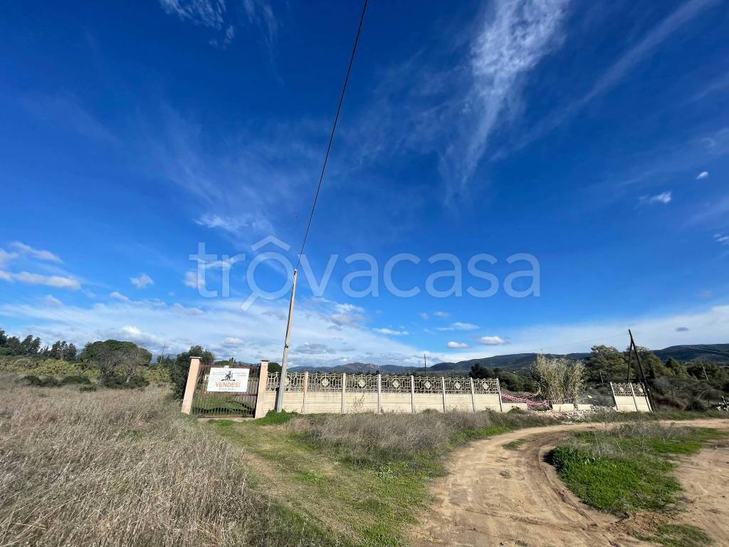 immagine annuncio 9 di 13