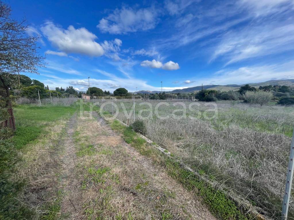 immagine annuncio 10 di 13