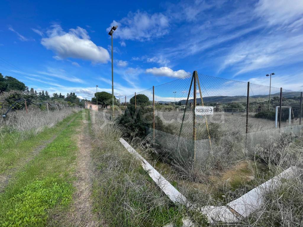 immagine annuncio 11 di 13