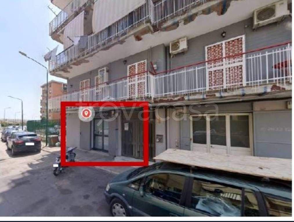 immagine annuncio 1 di 12