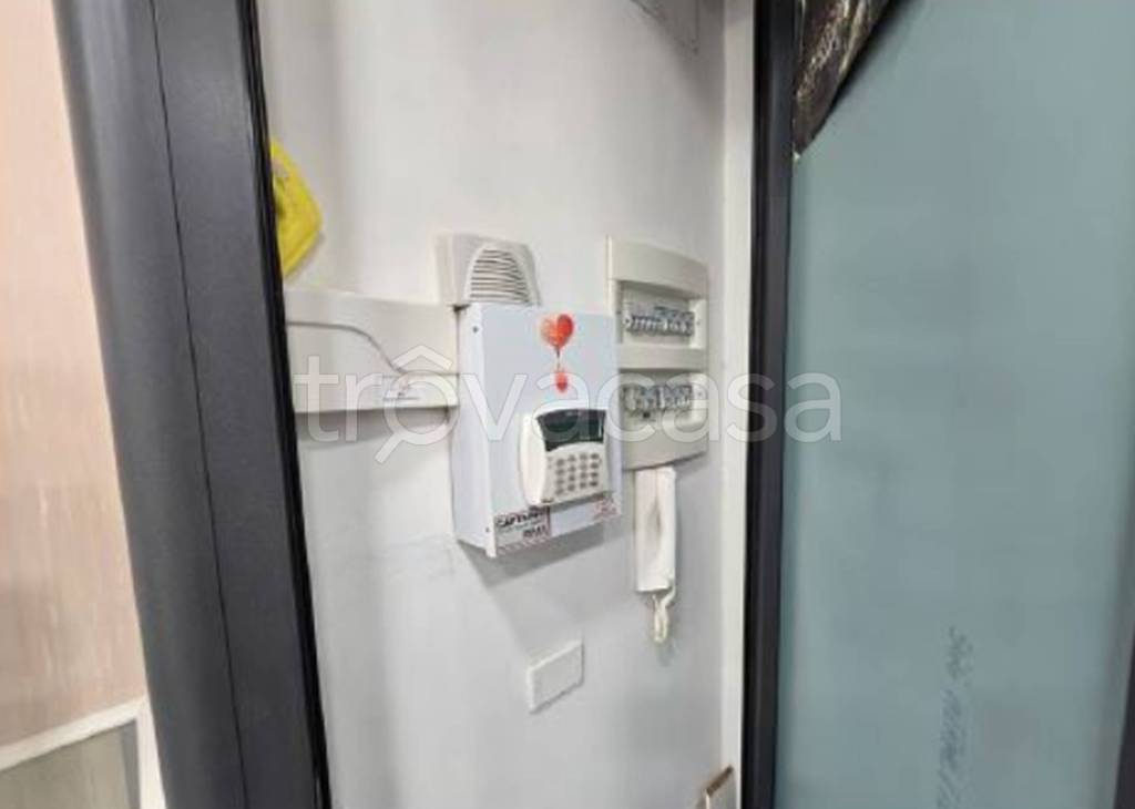 immagine annuncio 5 di 12