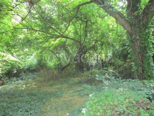 immagine annuncio 4 di 14