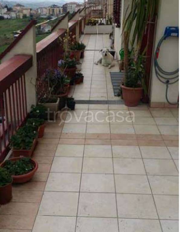 immagine annuncio 11 di 13