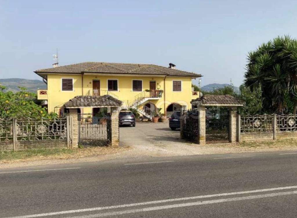 immagine annuncio 3 di 13