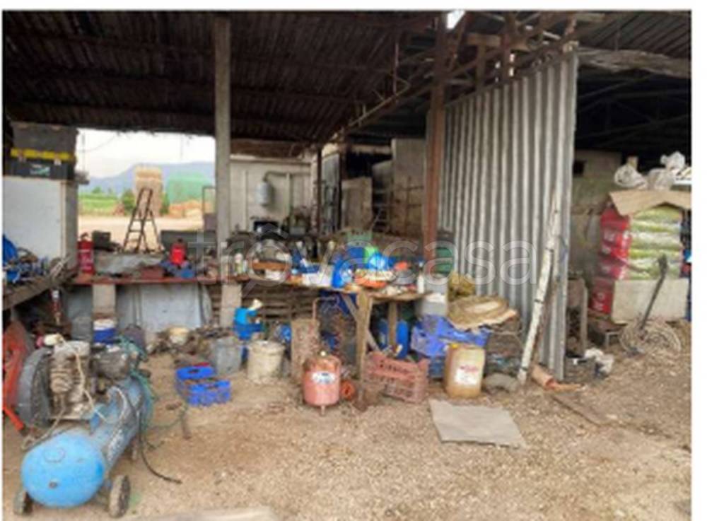 immagine annuncio 5 di 13