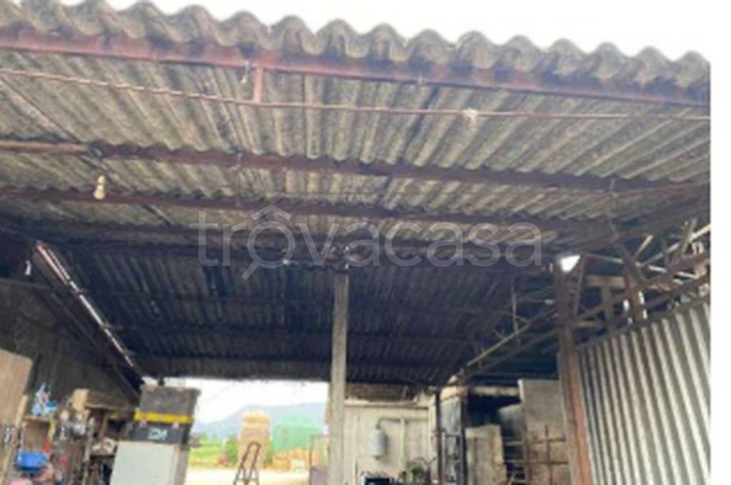 immagine annuncio 6 di 13