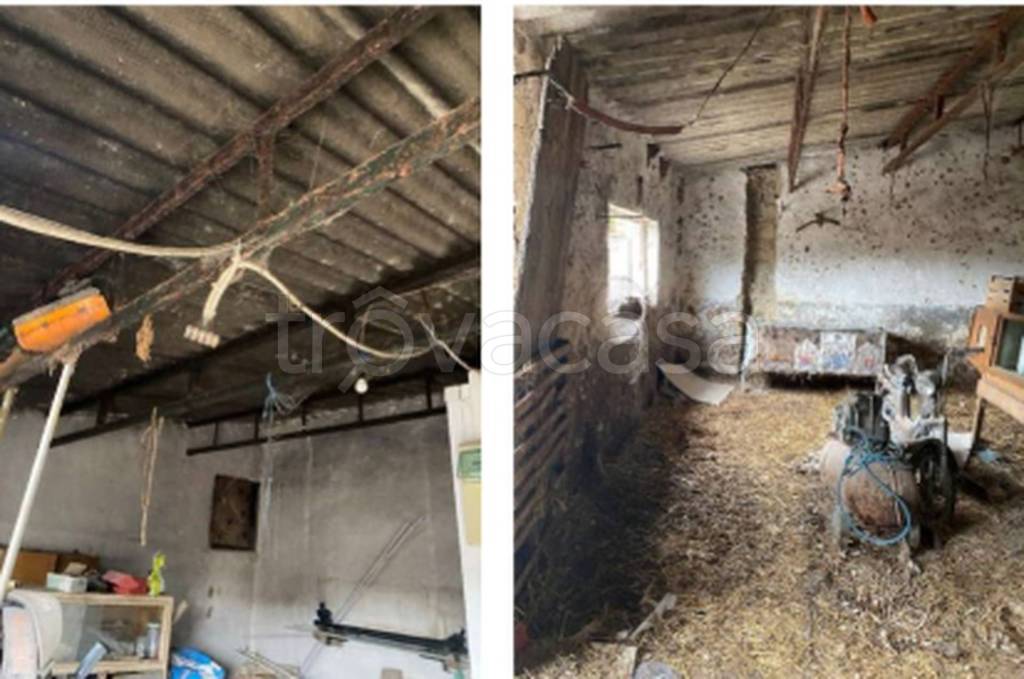 immagine annuncio 7 di 13